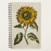 Vintage botanische Sonnenblume Planer (Vorderseite)