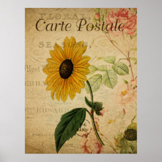 Vintage botanische Sonnenblume Postkarte Poster