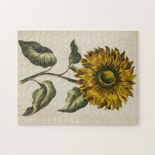 Vintage botanische Sonnenblume Puzzle (Horizontal)