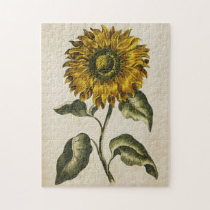 Vintage botanische Sonnenblume Puzzle