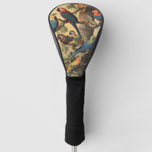Vintage botanische Szene bunte Papageien in einem  Golf Headcover