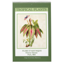Vintage Botanische Tropenpflanzen 2027