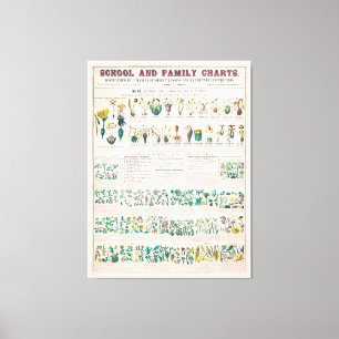 Vintage botanische Übersicht: Einstufung der Pfla Leinwanddruck