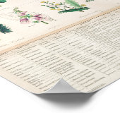 Vintage botanische Übersicht Poster (Ecke)