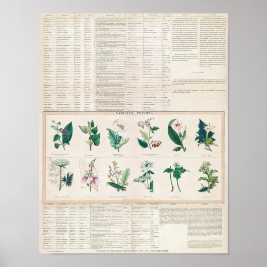 Vintage botanische Übersicht Poster (Vorne)