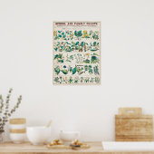 Vintage botanische Übersicht Poster (Küche)