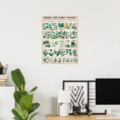 Vintage botanische Übersicht Poster (Heimbüro)