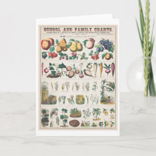Vintage botanische Übersicht: Wirtschaftliche Nutz Karte