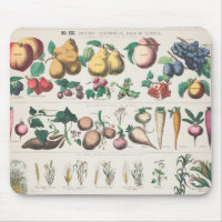 Vintage botanische Übersicht: Wirtschaftliche Nutz