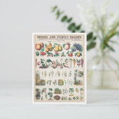 Vintage botanische Übersicht: Wirtschaftliche Nutz Postkarte (Stehend Vorderseite)