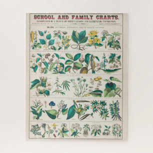 Vintage botanische Übersicht: Wirtschaftliche Nutz Puzzle