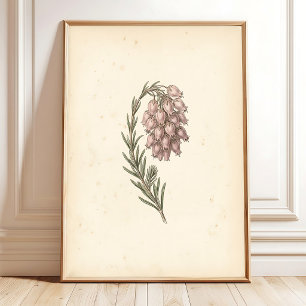 Vintage Botanische Wandkunst Leinwanddruck Poster