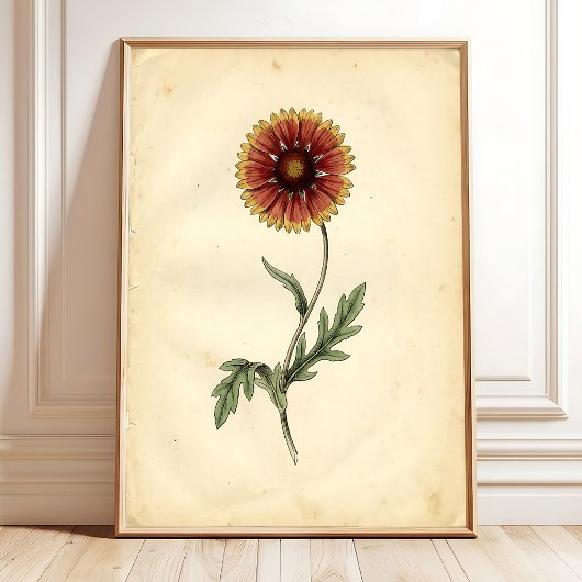 Vintage botanische Wandkunst Poster