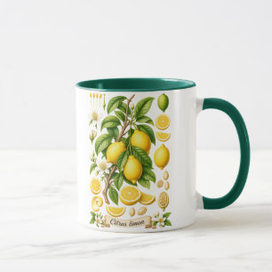 Vintage botanische Zitronen-Illustration Tasse