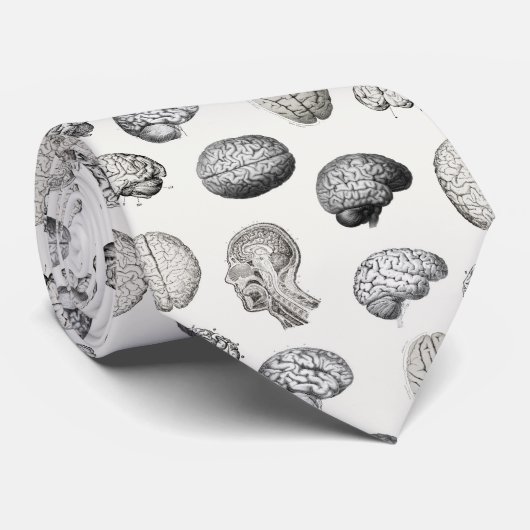 Vintage Brain Anatomy Biology Illustrations Krawatte (Gerollt)