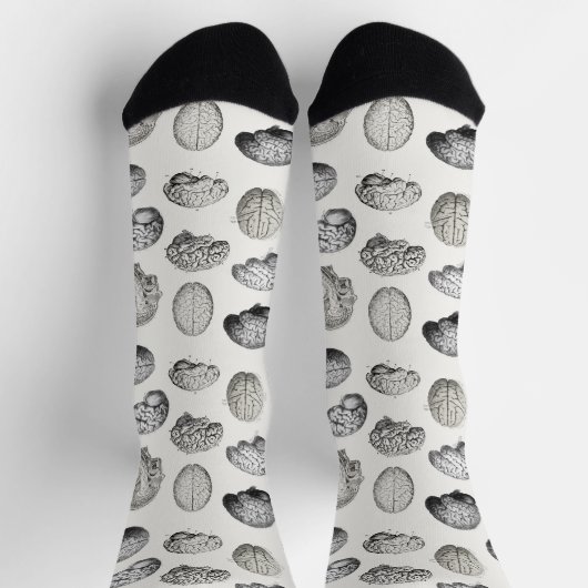 Vintage Brain Anatomy Illustrations Socken (Oben)