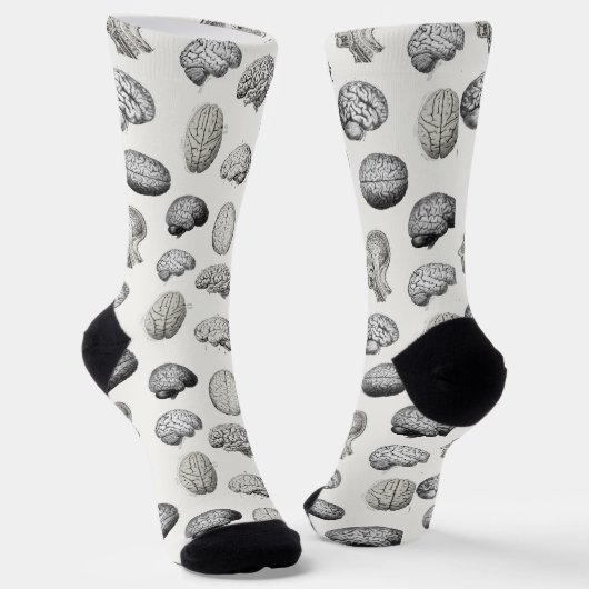 Vintage Brain Anatomy Illustrations Socken (Gewinkelt)