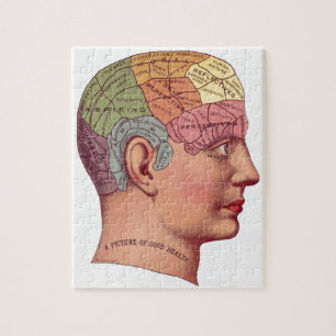 Vintage Brain Function Illustration Puzzle