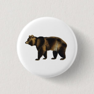 Vintage Braunbär 1849 Buchillustration Anstecknade Button
