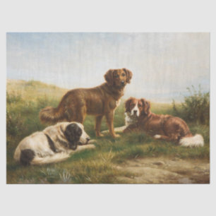 Vintage braune Hunde, die sich auf dem Plateau hal Seidenpapier
