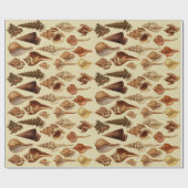 Vintage Braune Muscheln Küste unter Meer Geschenkpapier (Flach)
