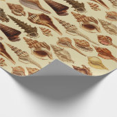 Vintage Braune Muscheln Küste unter Meer Geschenkpapier (Ecke)