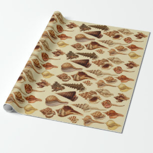 Vintage braune Muscheln Schnecken Küste Unter dem Geschenkpapier