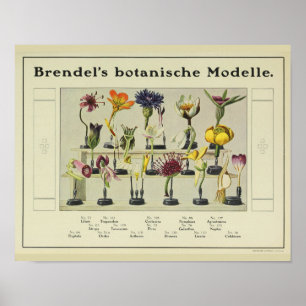 Vintage Brendel's Blumenmodell Werbe Kunst Druck Poster