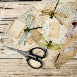 Vintage Briefe mit Libellen Seidenpapier