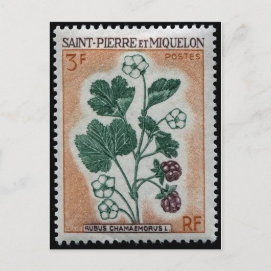 Vintage Briefmarke Postkarte (Vorderseite)