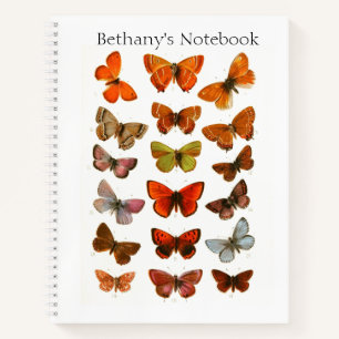 Vintage britische Schmetterlinge & Moths Uni regul Notizblock