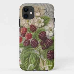 Vintage Brombeeren Französische Ephemera Art Colla Case-Mate iPhone Hülle