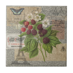 Vintage Brombeeren Französische Ephemera Art Colla Fliese