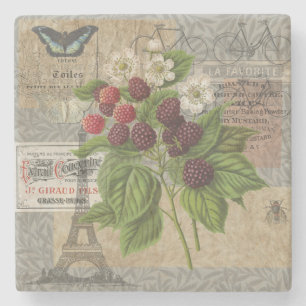 Vintage Brombeeren Französische Ephemera Art Colla Steinuntersetzer