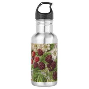 Vintage Brombeeren und französische Ephemera-Kunst Edelstahlflasche