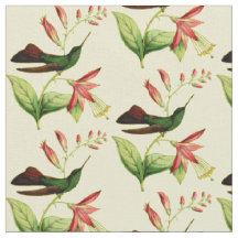 Vintage Bronzeschwanz-Plumeleteer Kolibri