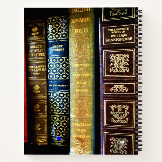 Vintage Bücher (Rückseite)