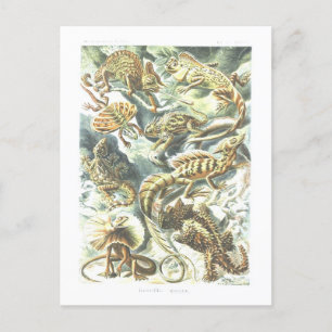 Vintage-Buchillustration Eidechsen Postkarte