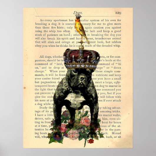 Vintage Buchseite Bulldog King Poster (Vorne)