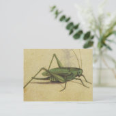 Vintage Bug Cricket Insect Postkarte (Stehend Vorderseite)