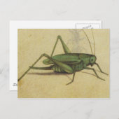 Vintage Bug Cricket Insect Postkarte (Vorne/Hinten)