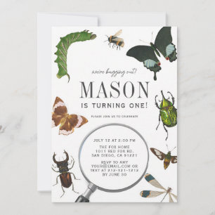Vintage Bugs & Insekten Junge 1. Geburtstag Einladung