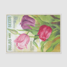 Vintage Bulben und Saatgut 1912 Tulips