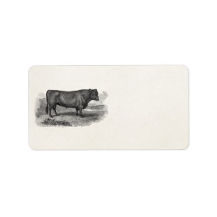 Vintage Bull Illustration Retro Kuh Bulls aus dem  Adressaufkleber