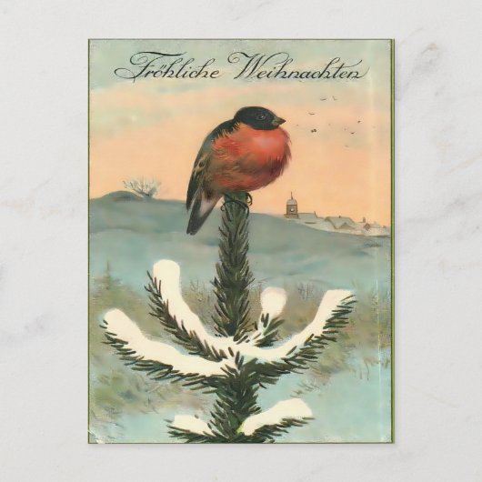 Vintage Bullfinch Bird on Snowy Pine Postkarte (Vorderseite)
