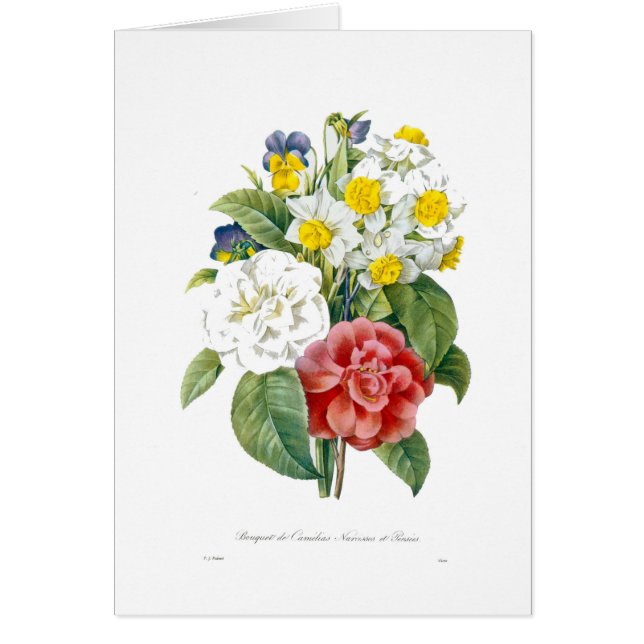 Vintage bunte botanische Blume von Redoute. (Vorne)