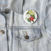 Vintage bunte botanische Blume von Redoute. Button (Beispiel)