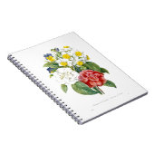 Vintage bunte botanische Blume von Redoute. Notizblock (Rechte Seite)