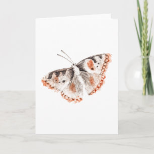 Vintage Butterfly Alte Illustrationskarte Karte