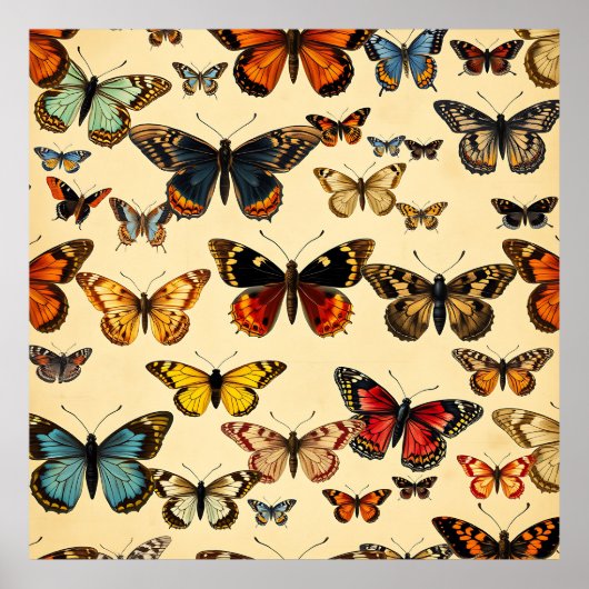 Vintage Butterfly Collection Pattern Poster (Vorne)